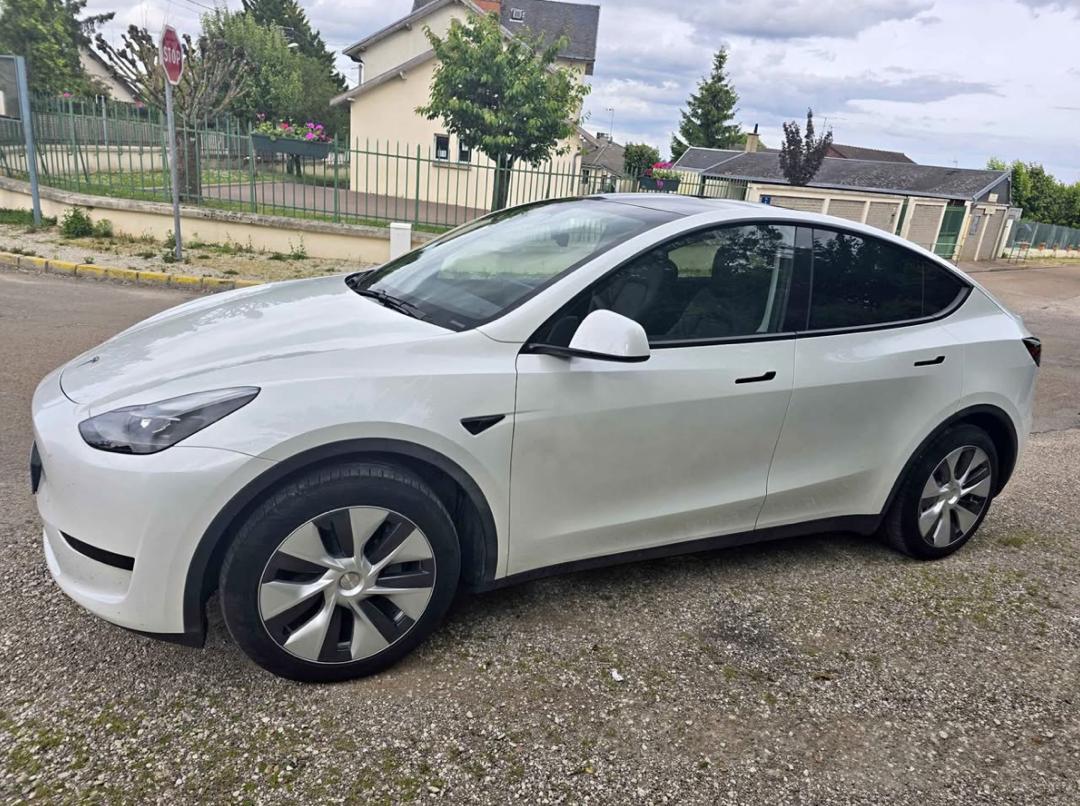 Tesla Model Y miniature 3